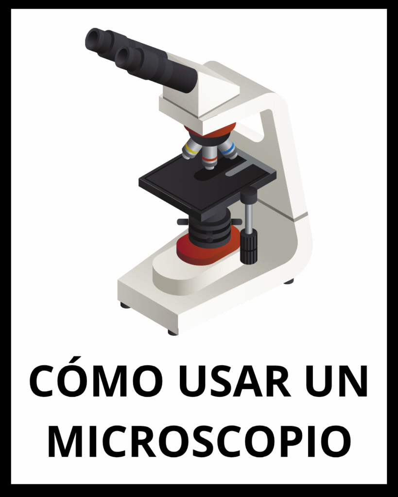 cómo usar un microscopio