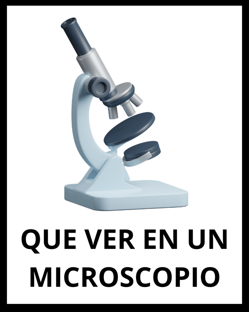 que ver en un microscopio