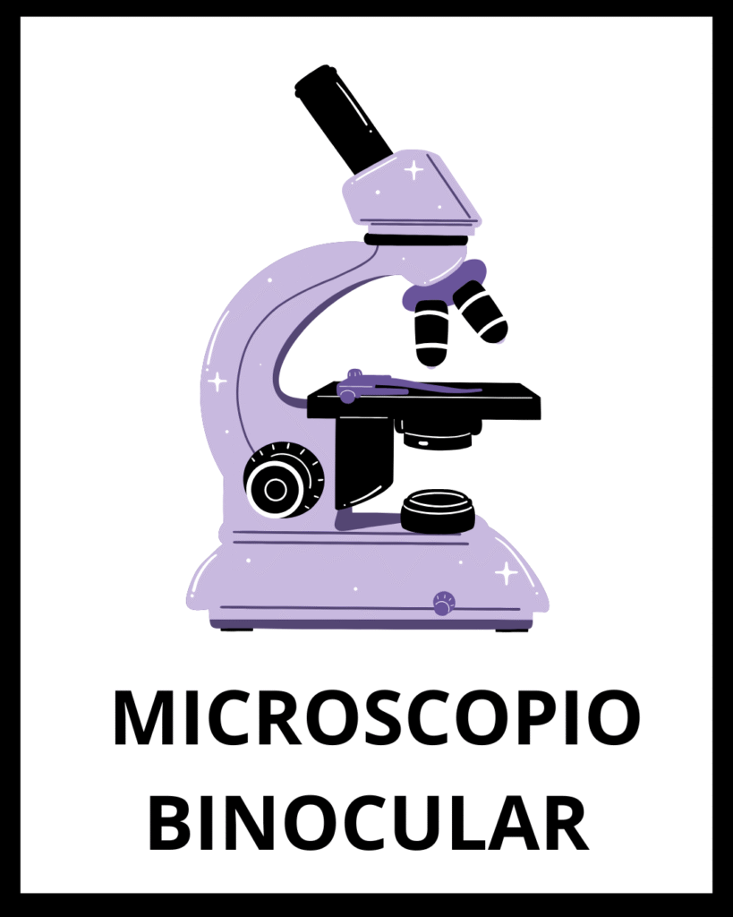  MICROSCOPIO BINOCULAR