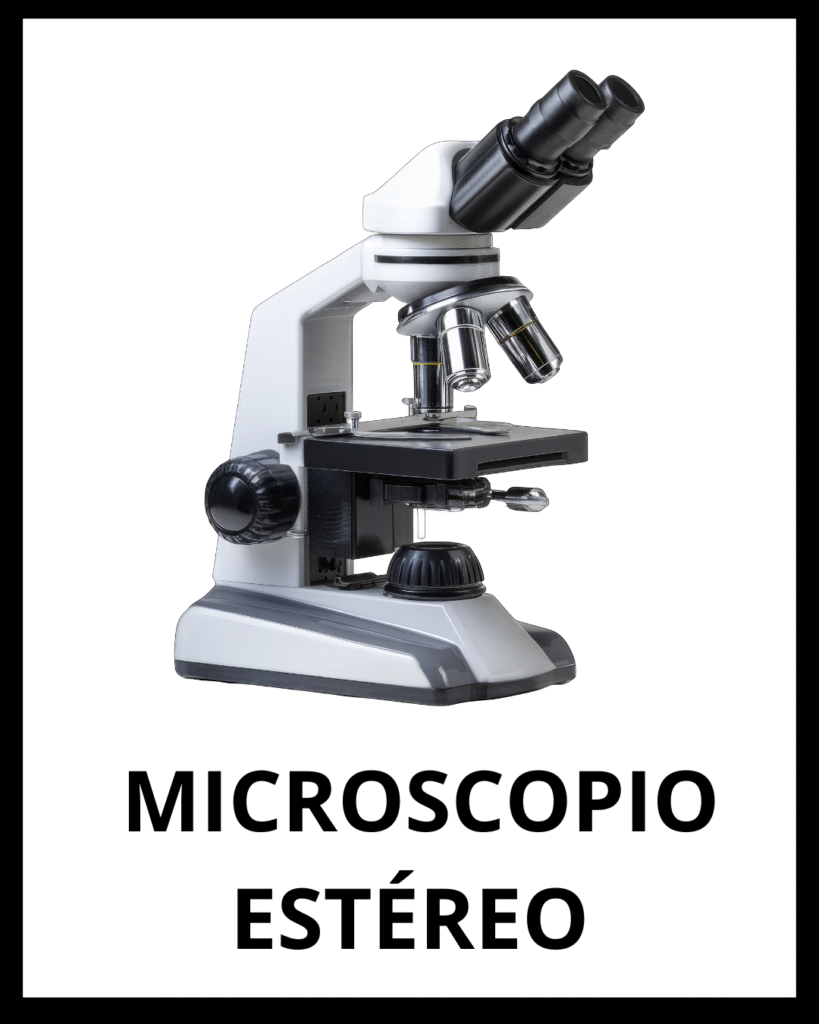  MICROSCOPIO ESTÉREO