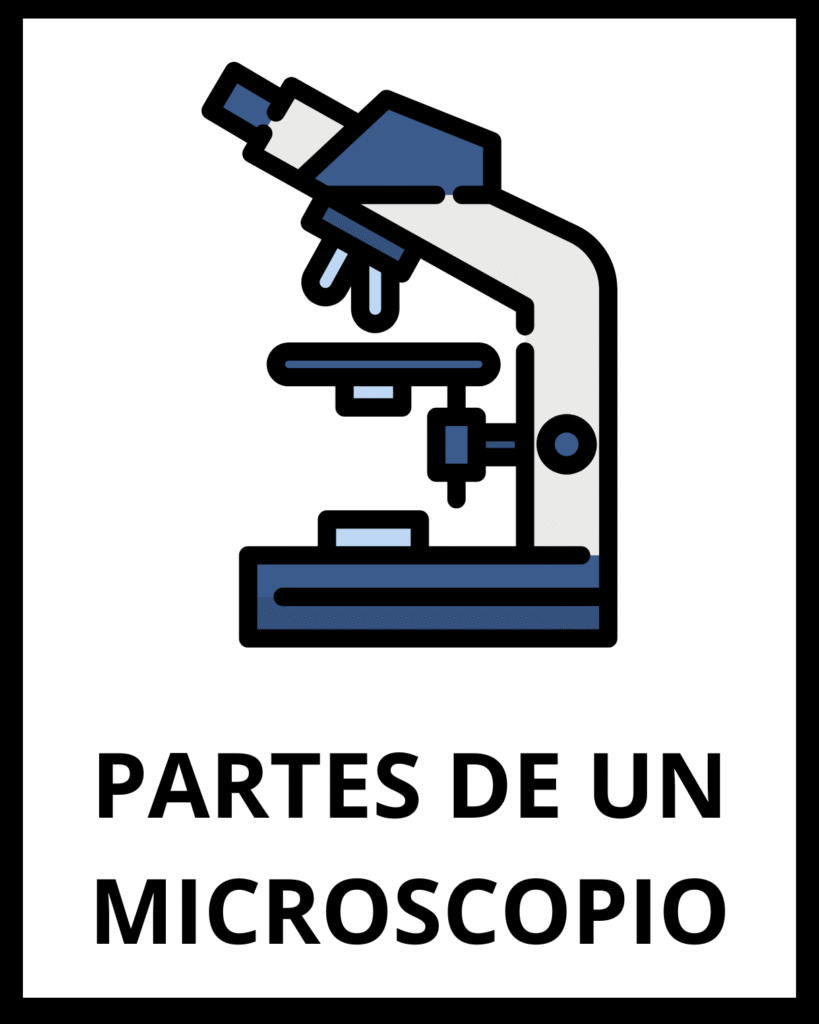 partes de un microscopio